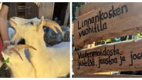 Linnankosken Vuohitila